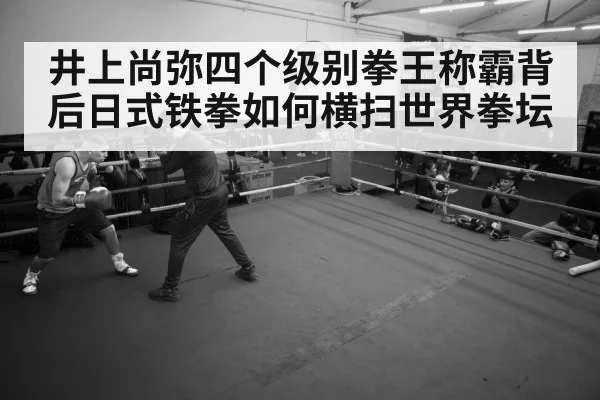 boxer training gym